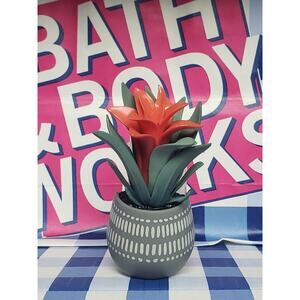 BBW Potted Guzmania Air Plant Fragrance Wallflower Plug In Home Scent Decor